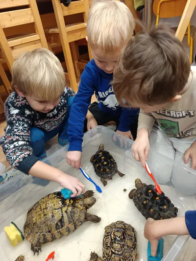 Zvířátka v Lentilce 21.1. 2025 obrázek