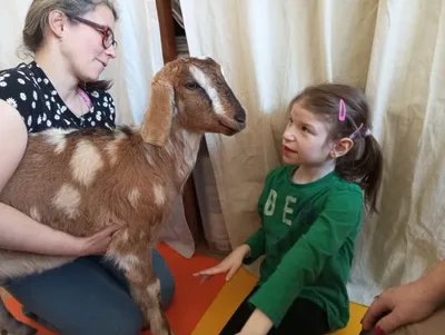 Zvířátka v Lentilce 21.1. 2025 obrázek
