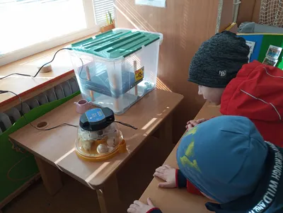 Zvířátka v Lentilce 21.1. 2025 obrázek