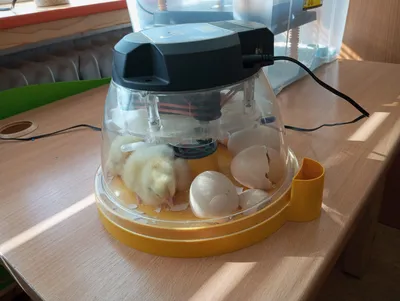 Zvířátka v Lentilce 21.1. 2025 obrázek